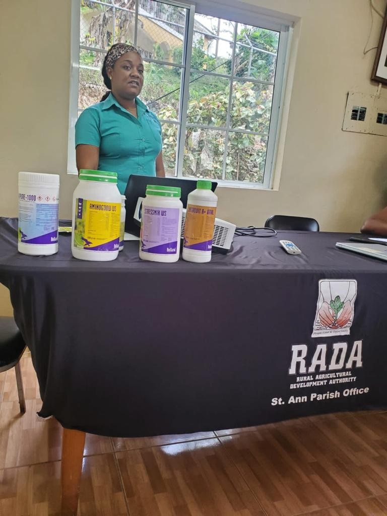 Our participants Scotiabank Jamaica